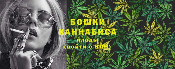 молекула духа Осинники