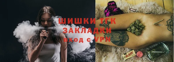 бошки Няндома
