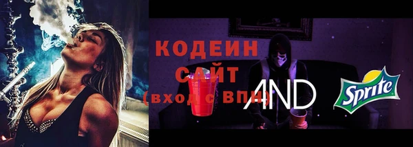 бошки Няндома