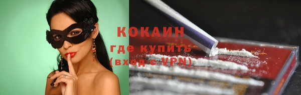 бошки Няндома