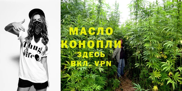 молекула духа Осинники