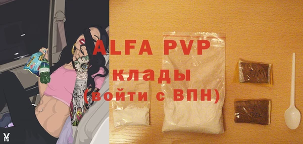 молекула духа Осинники