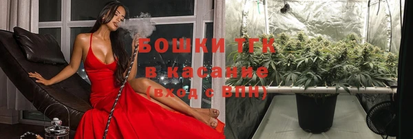 таблы Вяземский