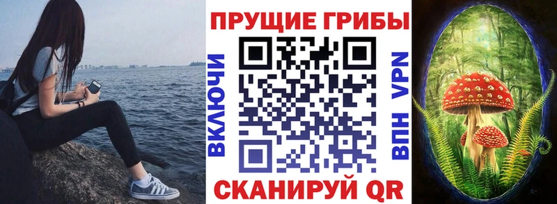 Псилоцибиновые грибы мухоморы  гидра   Зеленодольск  где продают наркотики 