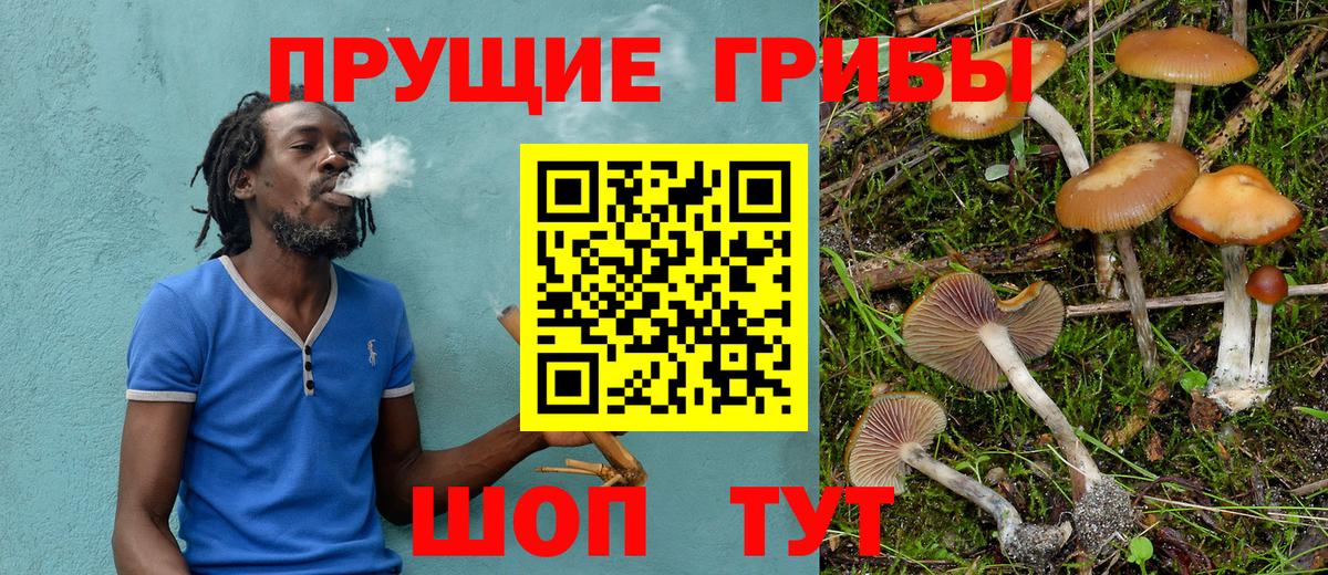 Псилоцибиновые грибы Cubensis  Вход с VPN  Зеленодольск 